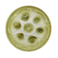 Vintage French Oyster Plate